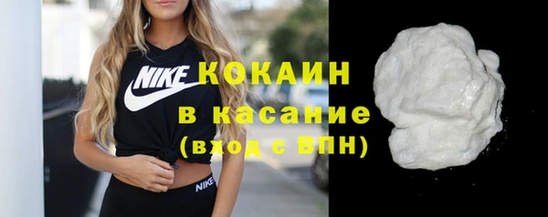 прущие грибы Вуктыл