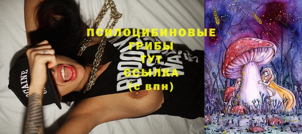 круглые Алексеевка