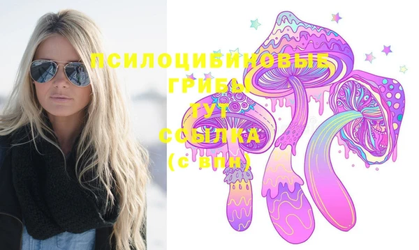 спайс Алзамай