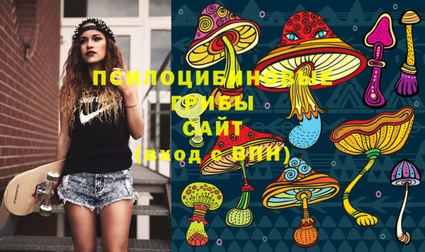 спайс Алзамай
