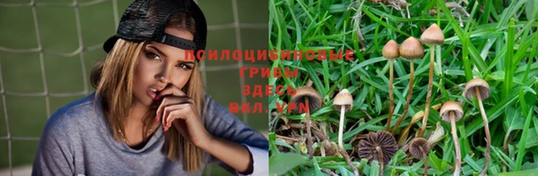 круглые Алексеевка